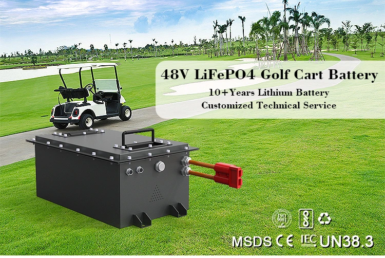 El litio Ion Battery del OEM 48V 80ah 160ah de Cts para el carro de golf, batería del poder de LiFePO4 48V 36V modificó para requisitos particulares
