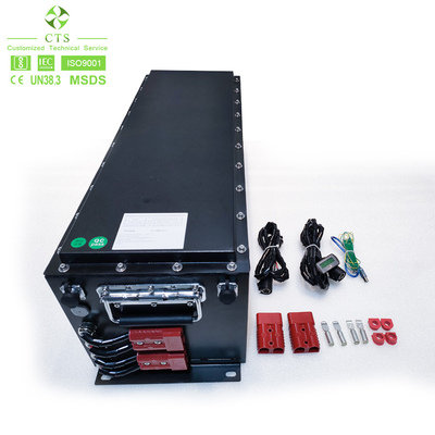 Litio Ion Battery Pack 48V del vehículo eléctrico LiFePO4 para los carros de golf/el sistema del almacenamiento